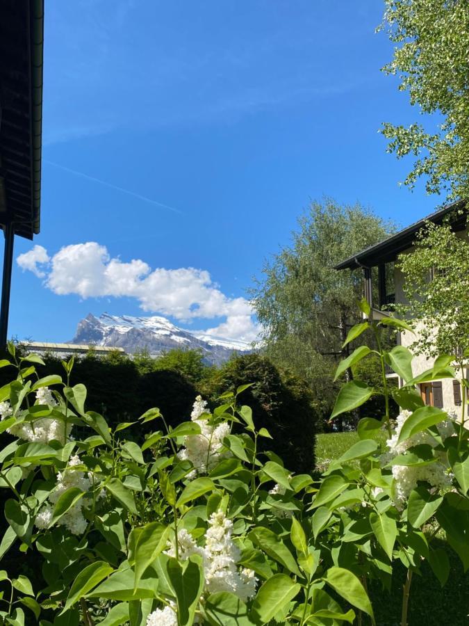 Lumineux Et Cosy En Rez De Jardin Apartamento